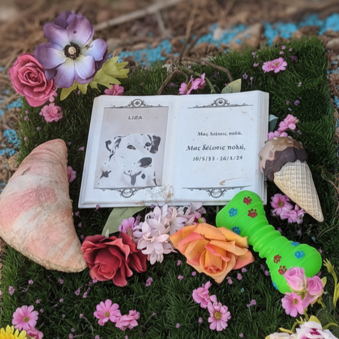 Μνήμη & αποχαιρετισμός κατοικιδίου